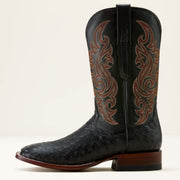 BLACK FULL QUILL OSTRICH|MIDNIGHT BLACK