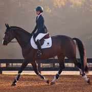 NAVY ECLIPSE