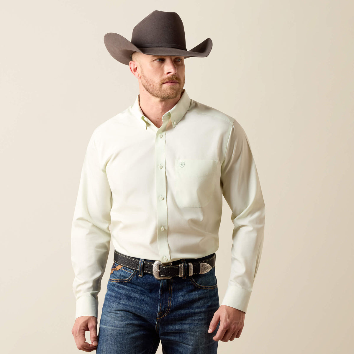 Wrinkle Free Solid Fitted Shirt - US 1253
