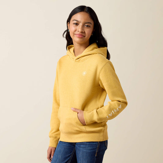 Ariat 2.0 Hoodie - US 1469