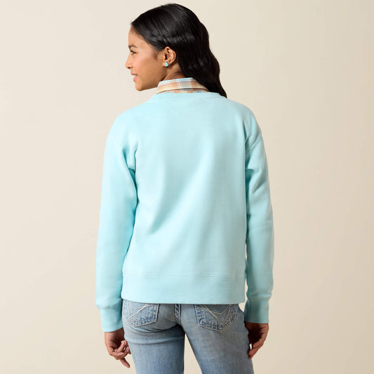 Stallion Crew Sweatshirt - US 9893